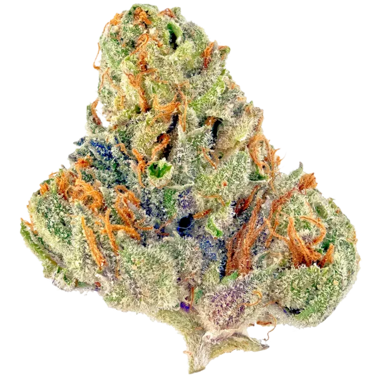 Frosty Gelato Strain