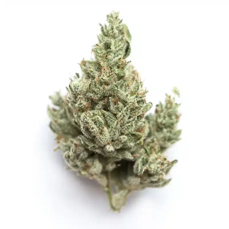 Future Strain