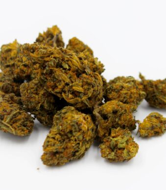 At Iced Out Genetics, we think you’ll agree that our cannabis seeds provide the best possible high. Our seeds use only the finest genetics and come at a great price—what else could you ask for? Come take a look for yourself