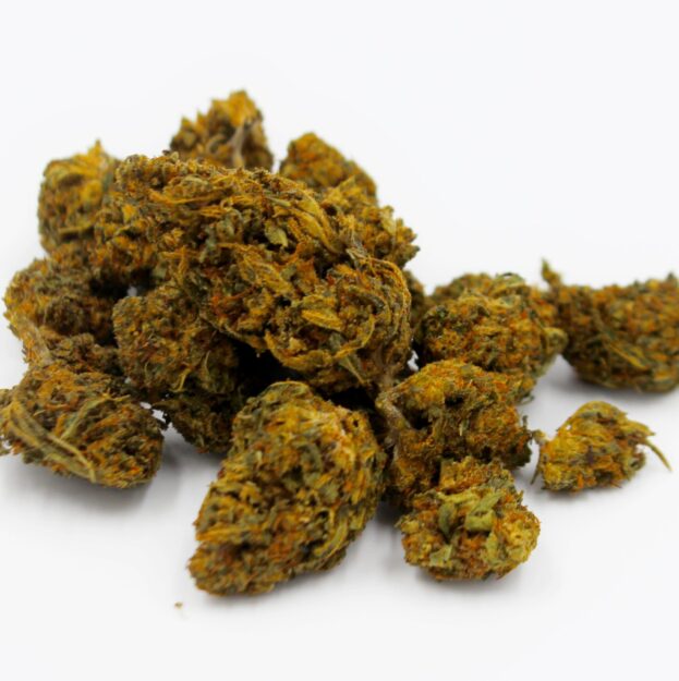 At Iced Out Genetics, we think you’ll agree that our cannabis seeds provide the best possible high. Our seeds use only the finest genetics and come at a great price—what else could you ask for? Come take a look for yourself