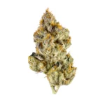 Galactic Jack Strain
