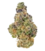 Gello Strain