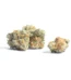 Golden Ticket Strain