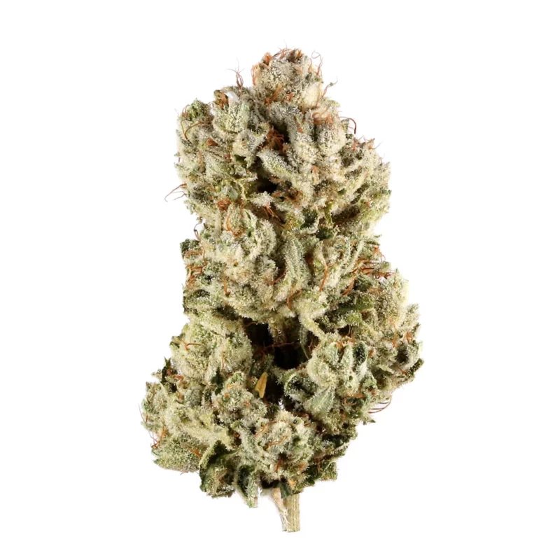 Grapefruit Durban Strain