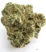 Greasy Runtz Strain