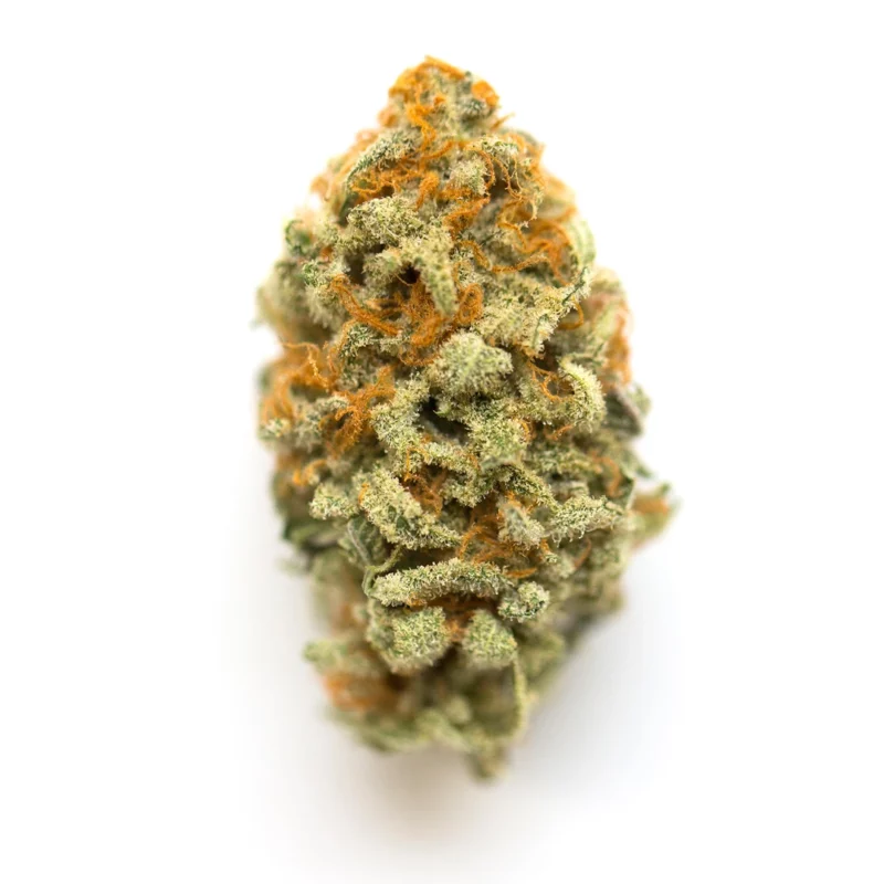 Green Goblin Strain