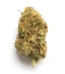 Green Poison Strain
