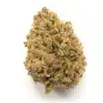 Gucci OG Strain