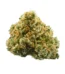 Gummy Bears Strain