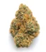Hazelnut Cream Strain