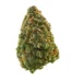 High Society Strain