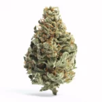 Hippie Crippler Strain