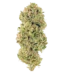 Huckleberry Strain
