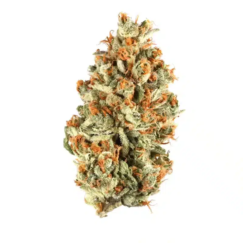 Ice Cream Man Strain