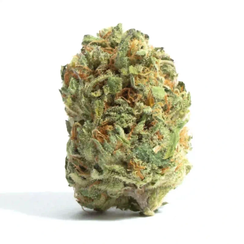 Kimbo Kush Strain