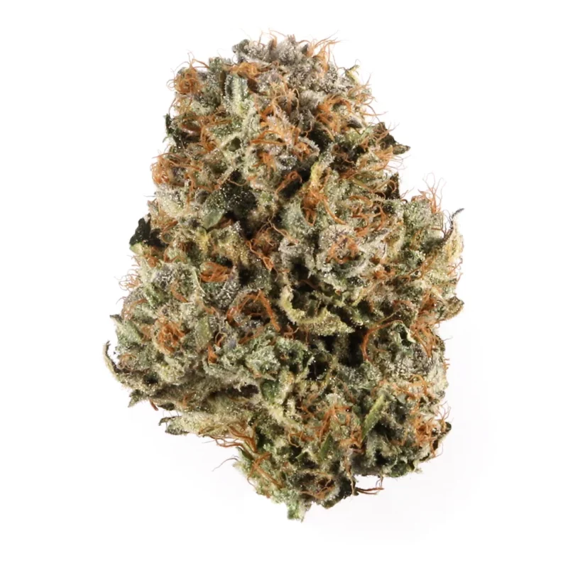 King Kong Strain