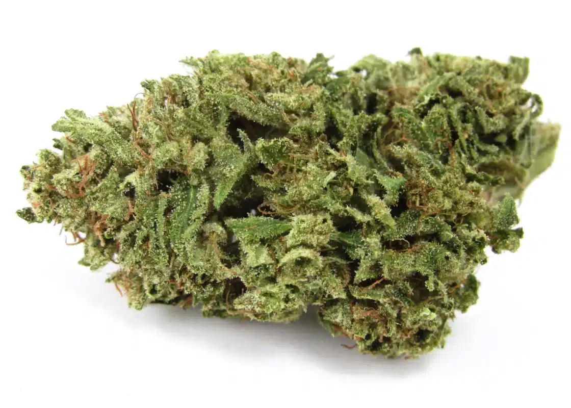 La Bomba Strain