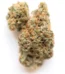 Lemon Meringue Strain