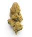Lemon Royale Strain