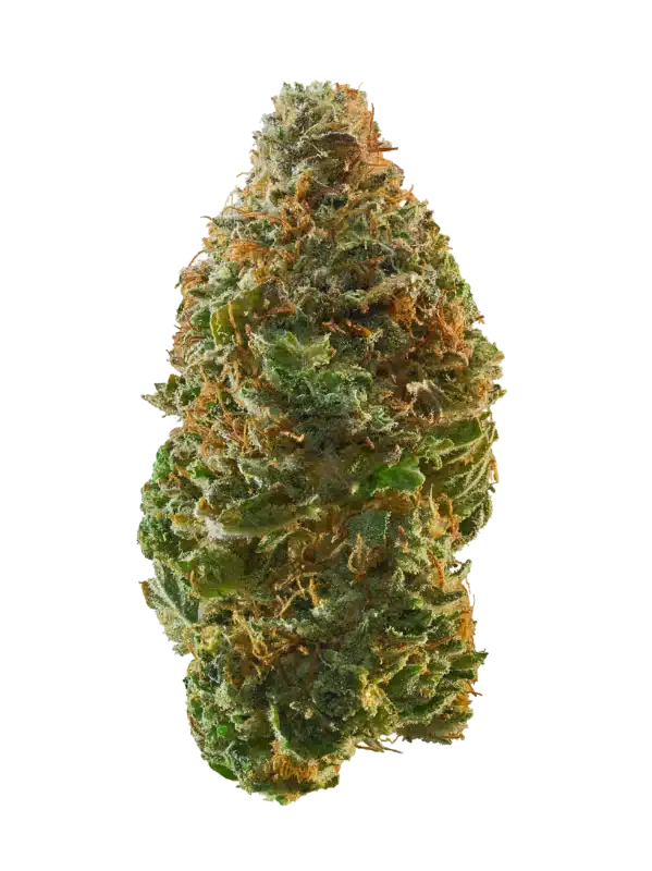 Lucky Charms Strain