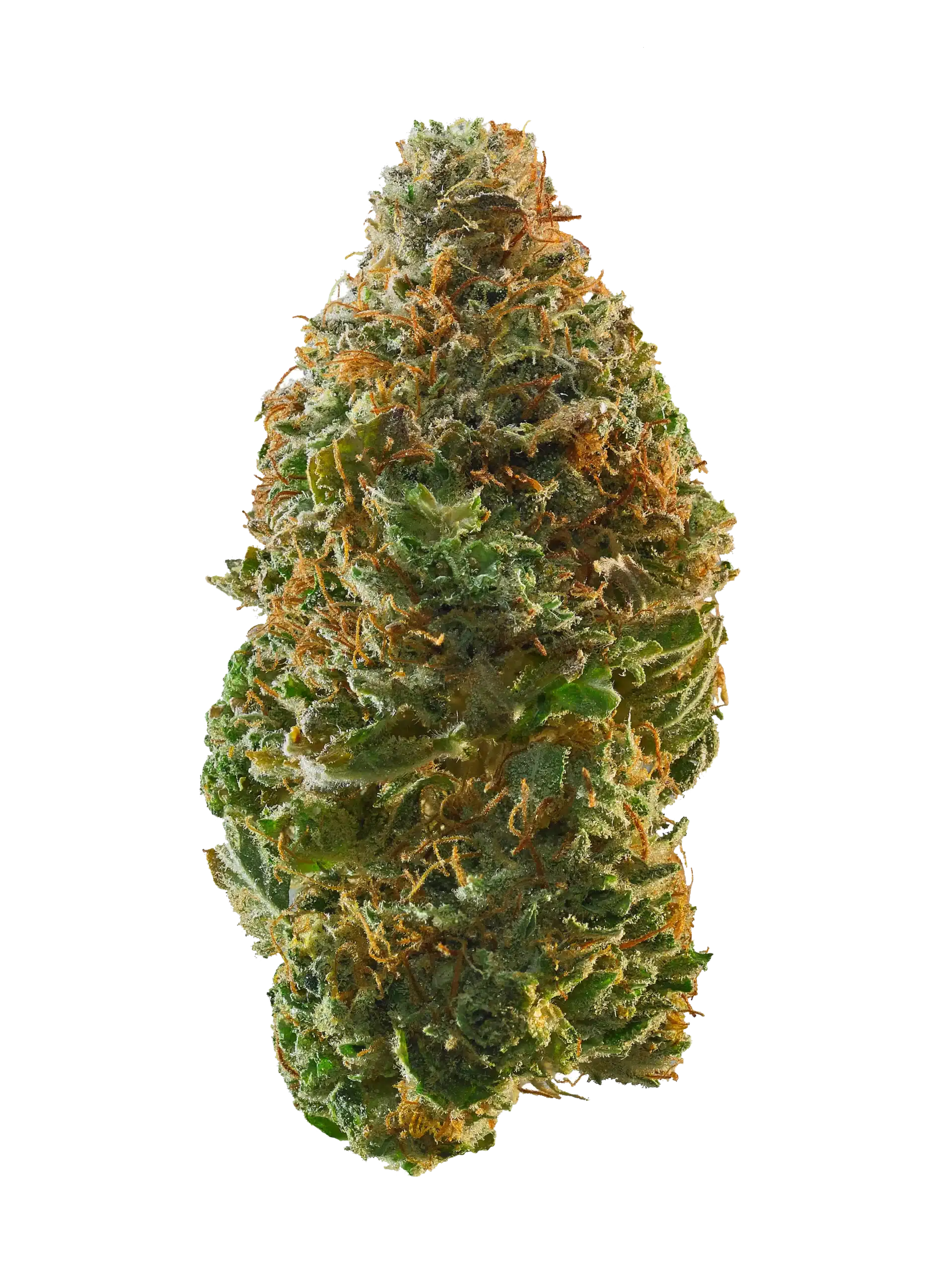 Lucky Charms Strain Lucky Charms Strain