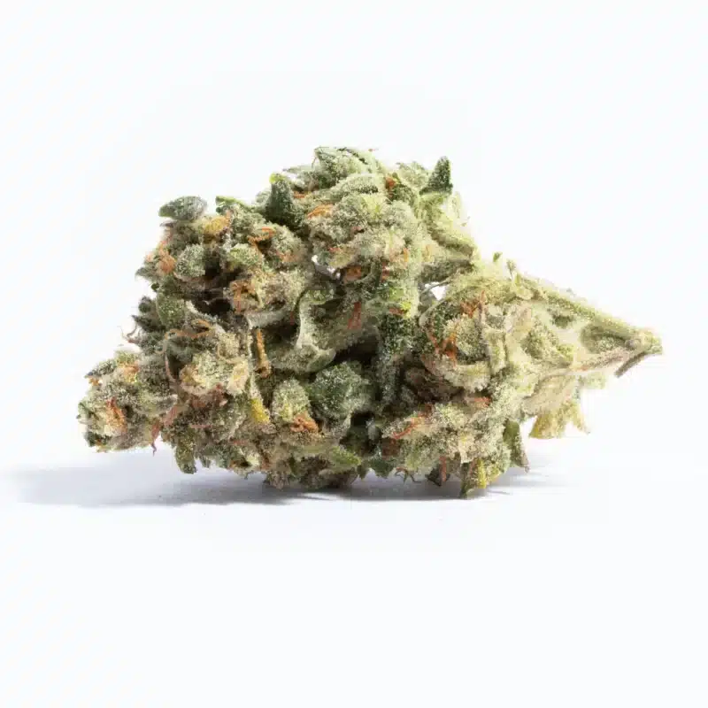 Mango Sherbert Strain