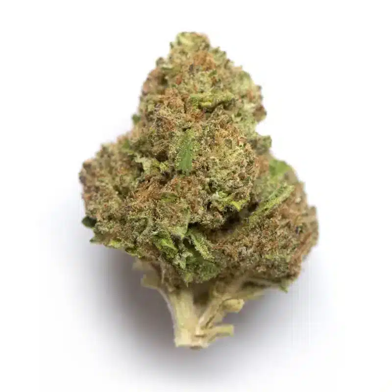 Member Berry Strain