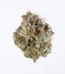 Milky Way Strain