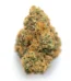 Orange Cake Strain