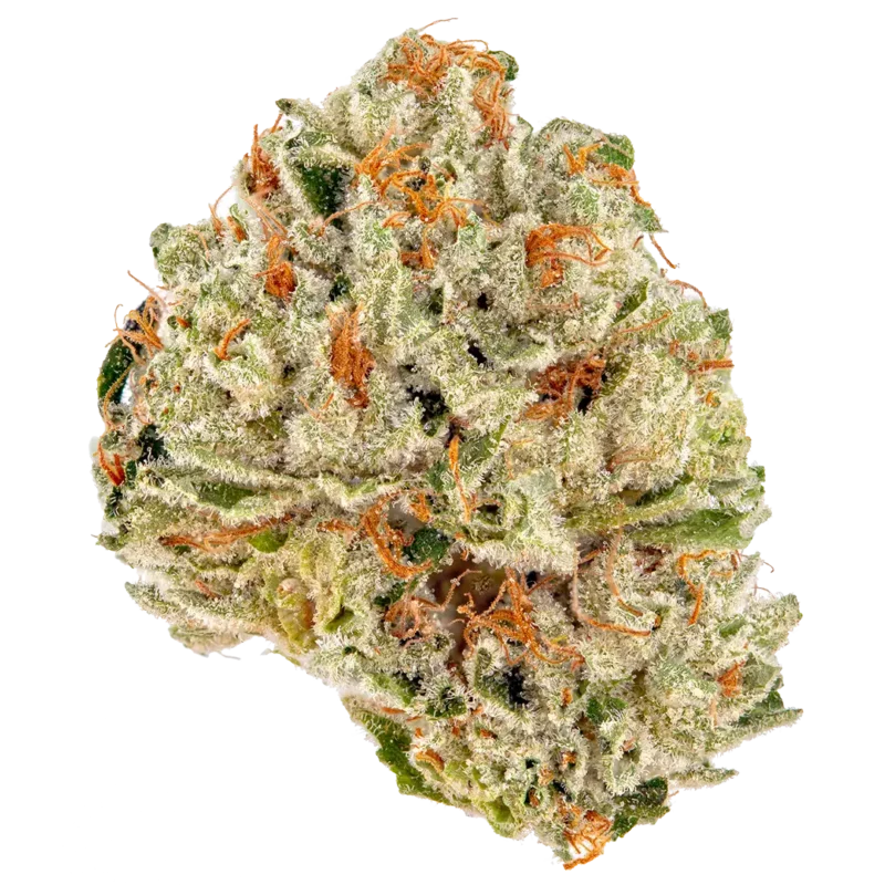 Pai Gow Strain