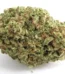 Papaya Punch Strain