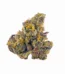 Peach Ozz Strain