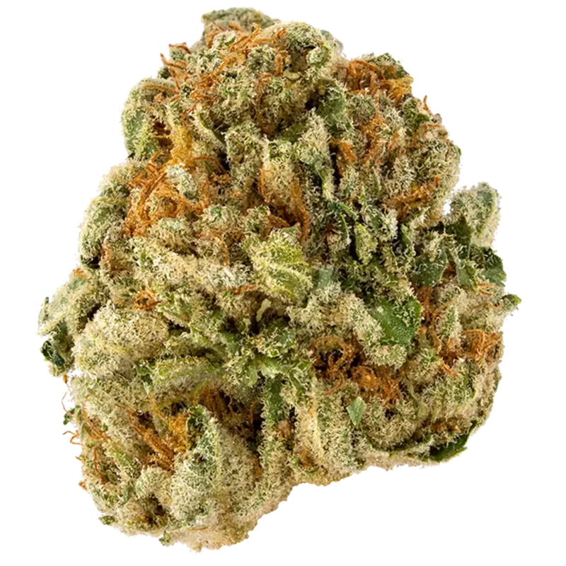 Pinkman Goo Strain