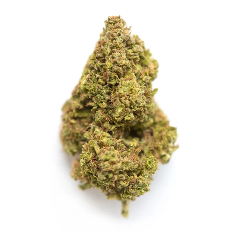 Planet of the Grapes Strain
