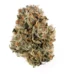 Platinum Bubba Kush Strain