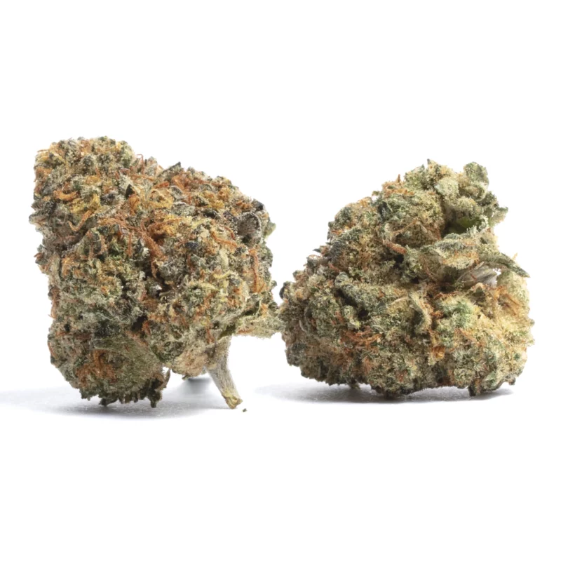 Platinum Purple Kush Strain