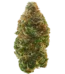Point Break Strain