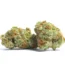 Powdered Donuts Strain