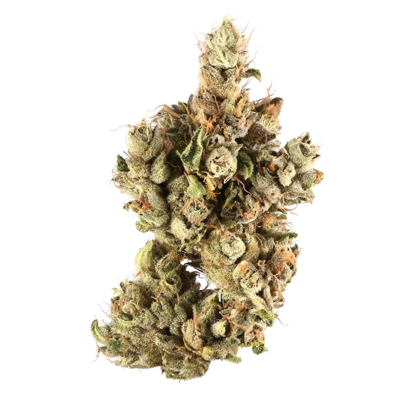 Pre-98 Bubba Kush Strain