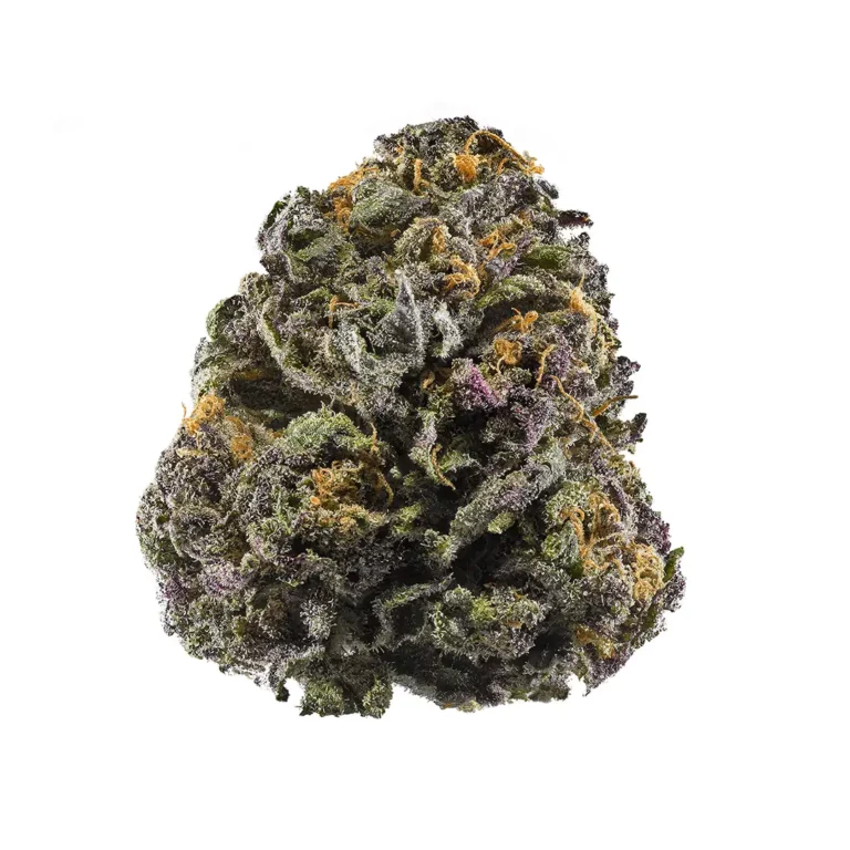 Purple Afghani Strain
