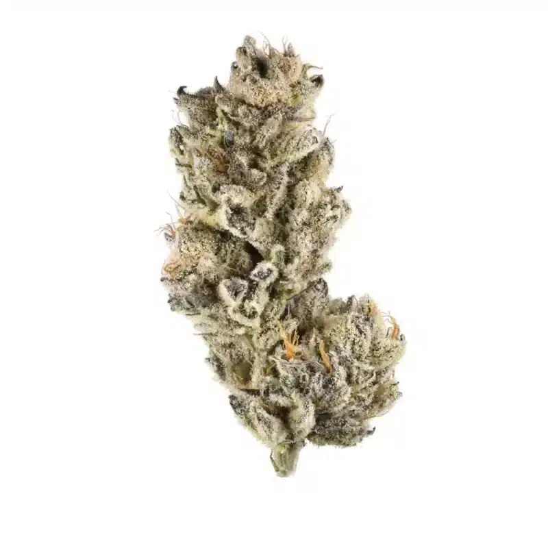 Purple Chemdawg Strain