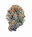 Purple Cream Strain