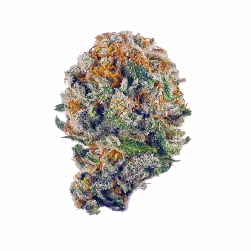 Purple Gelato Strain