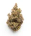 Purple Gorilla Strain
