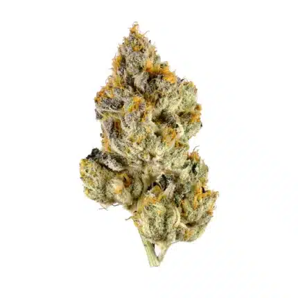 Purple Ice Cream Strain