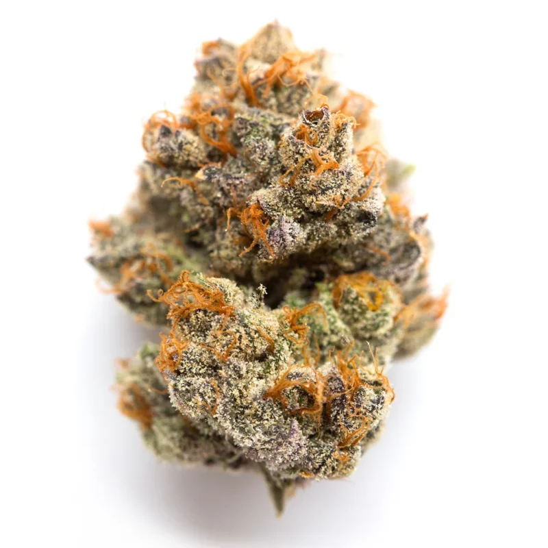 Purple Ice Strain