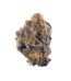 Purple MAC Strain