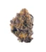 Purple Sherbet Strain