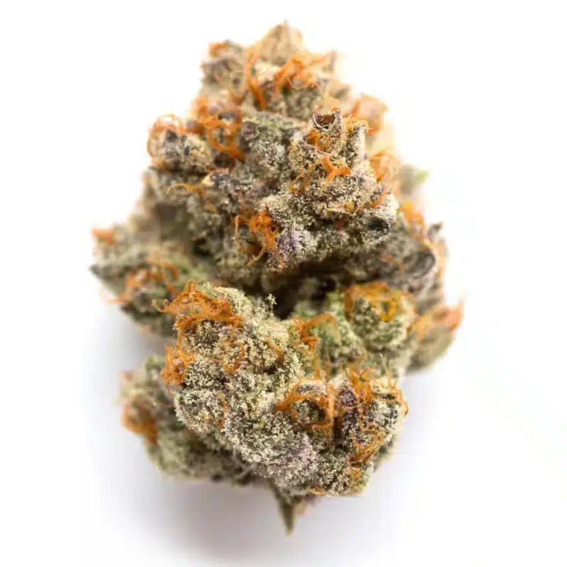 Purple Stardawg Strain
