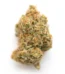 Rainbow Chip